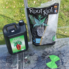 Root Riot Cubes & Chilli Focus